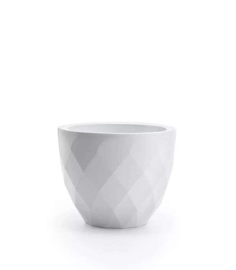 Pot - Vases