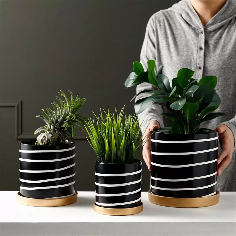 Cache Pot Noir et Blanc Zibra