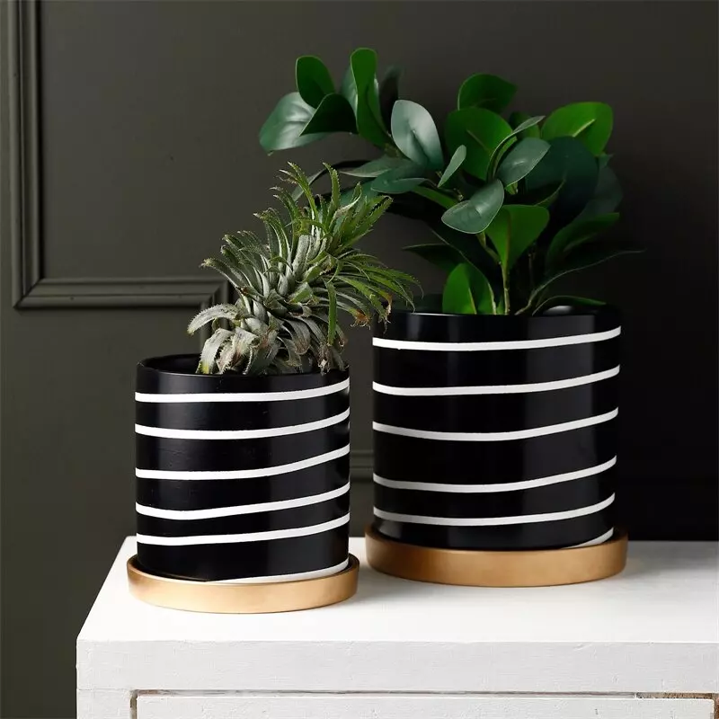 Cache Pot Noir et Blanc Zibra