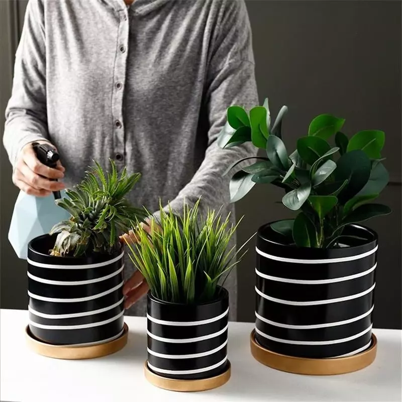 Cache Pot Noir et Blanc Zibra