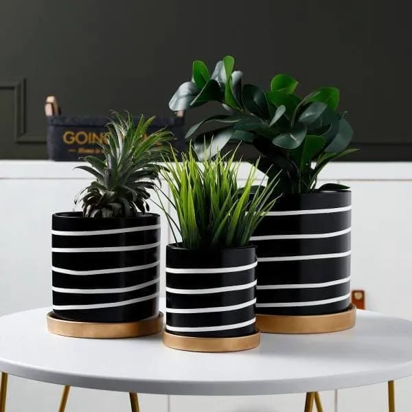Cache Pot Noir et Blanc Zibra