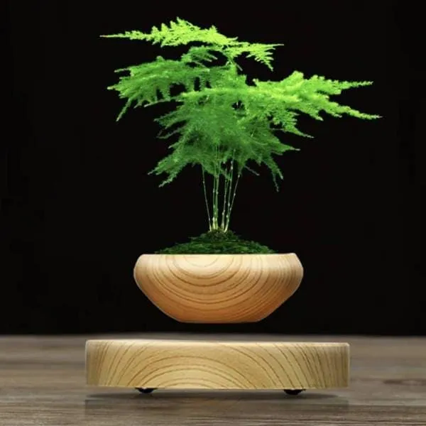 Pot Viva