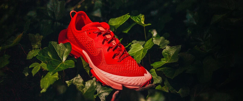 Nike Femme Air Zoom Terra Kiger 7