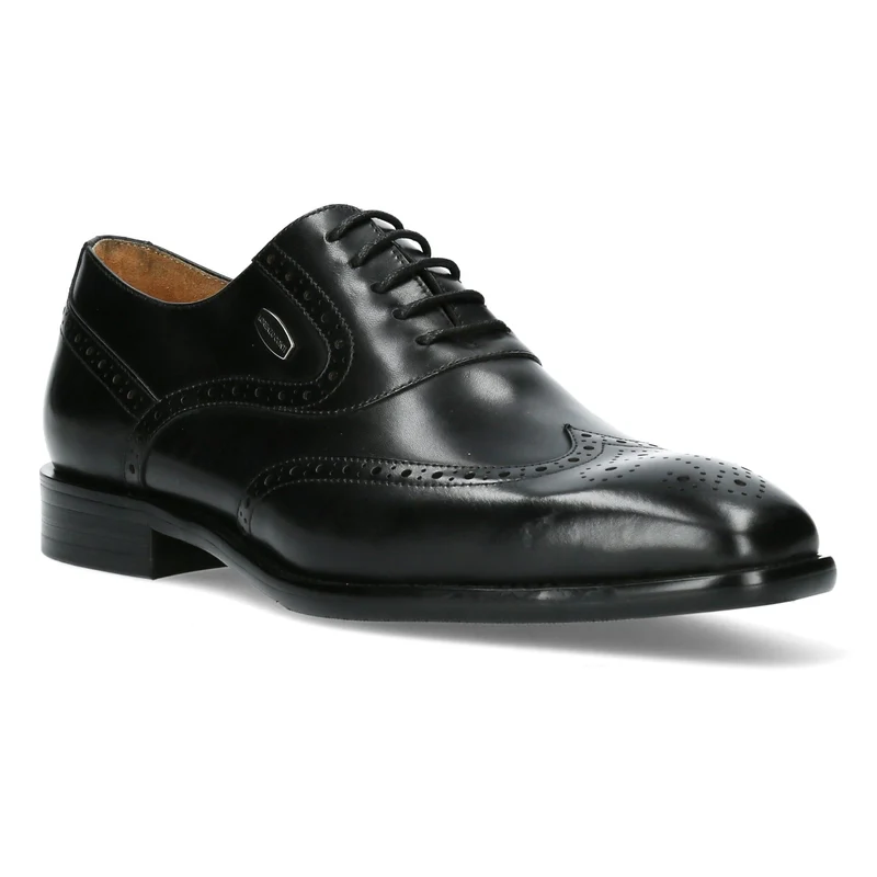 Chaussure Homme ALOYS 03