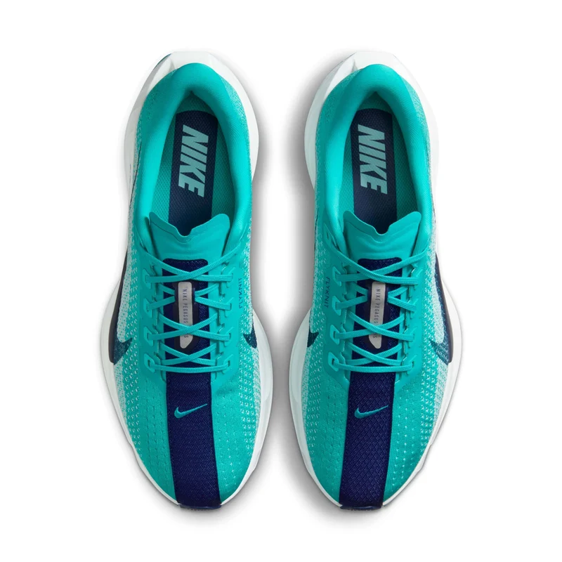 Nike Chaussure de running sur route pour homme Pegasus Plus